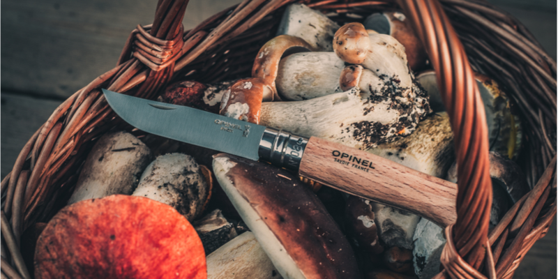 service client opinel